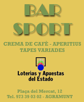 Bar sport