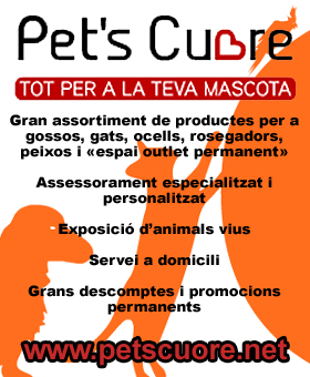 mascotas